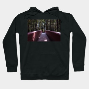 Lady Bird Johnson Grove bridge Hoodie